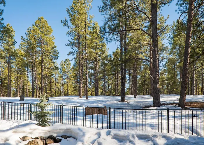 Pinnacle Pines Forest Views Modern With Ev Charger Direct Trail Access Villa Flagstaff